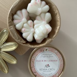 Fleur de cerisier