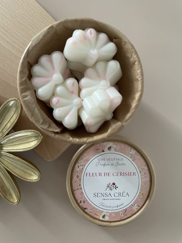 Fleur de cerisier