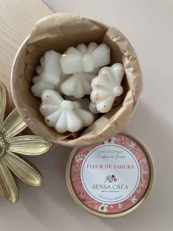 Fleur de sakura