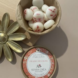 Fraise des bois