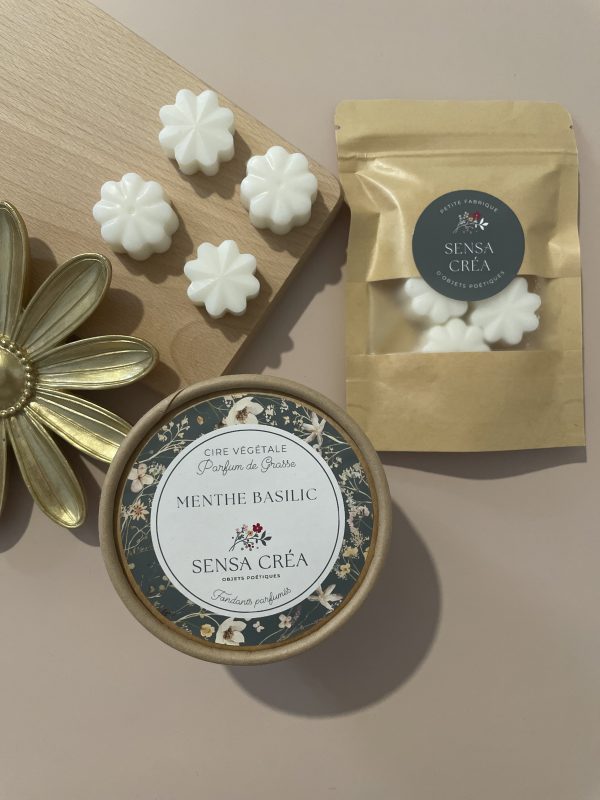 Menthe basilic – Image 3