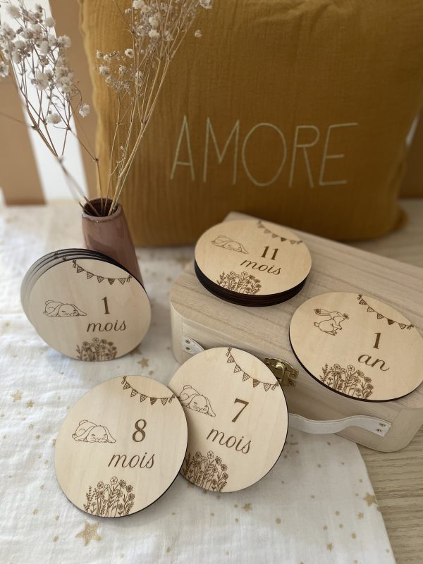 Collection lapin