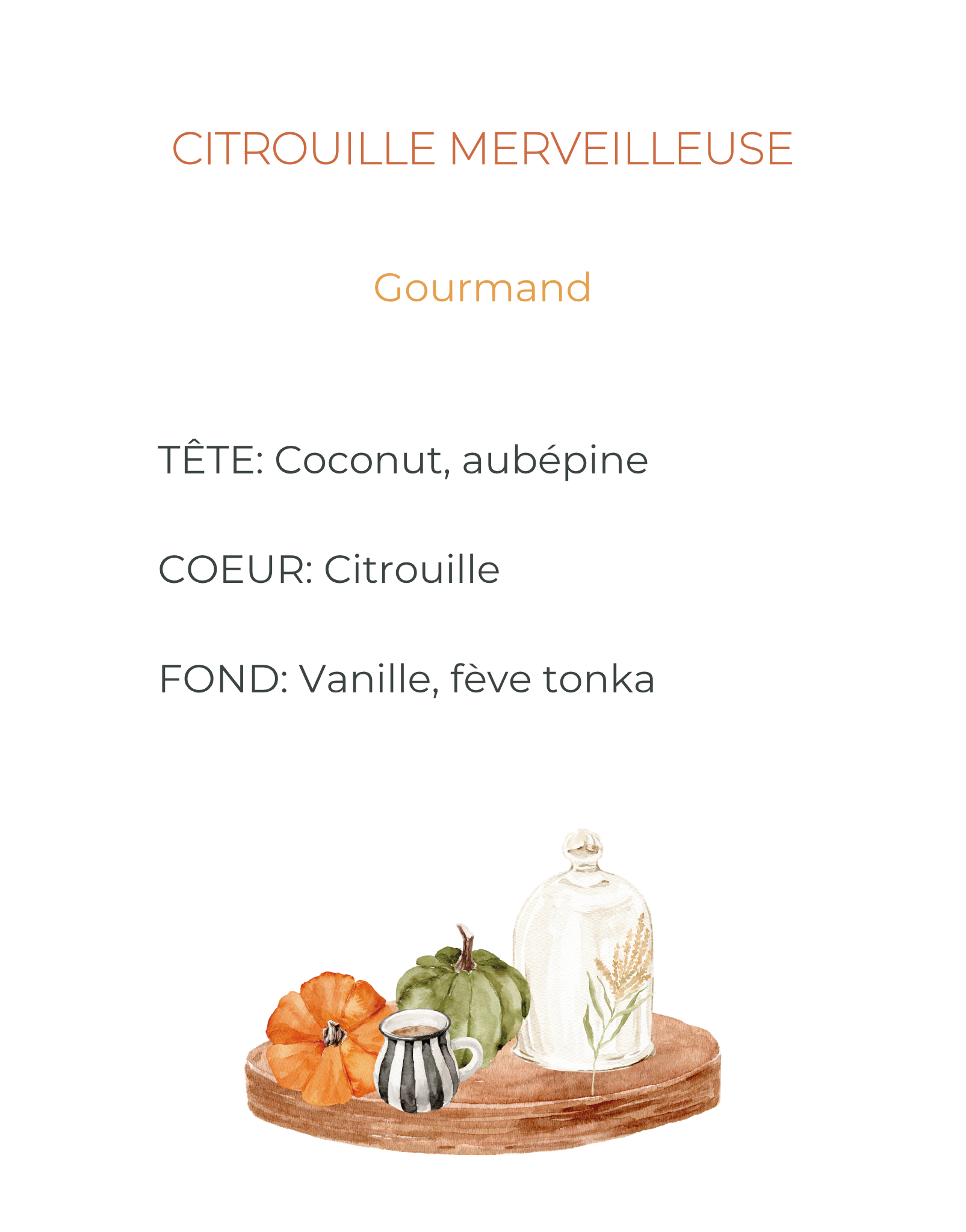 AUTOMNE Senteurs de saison à découvrir – Image 7