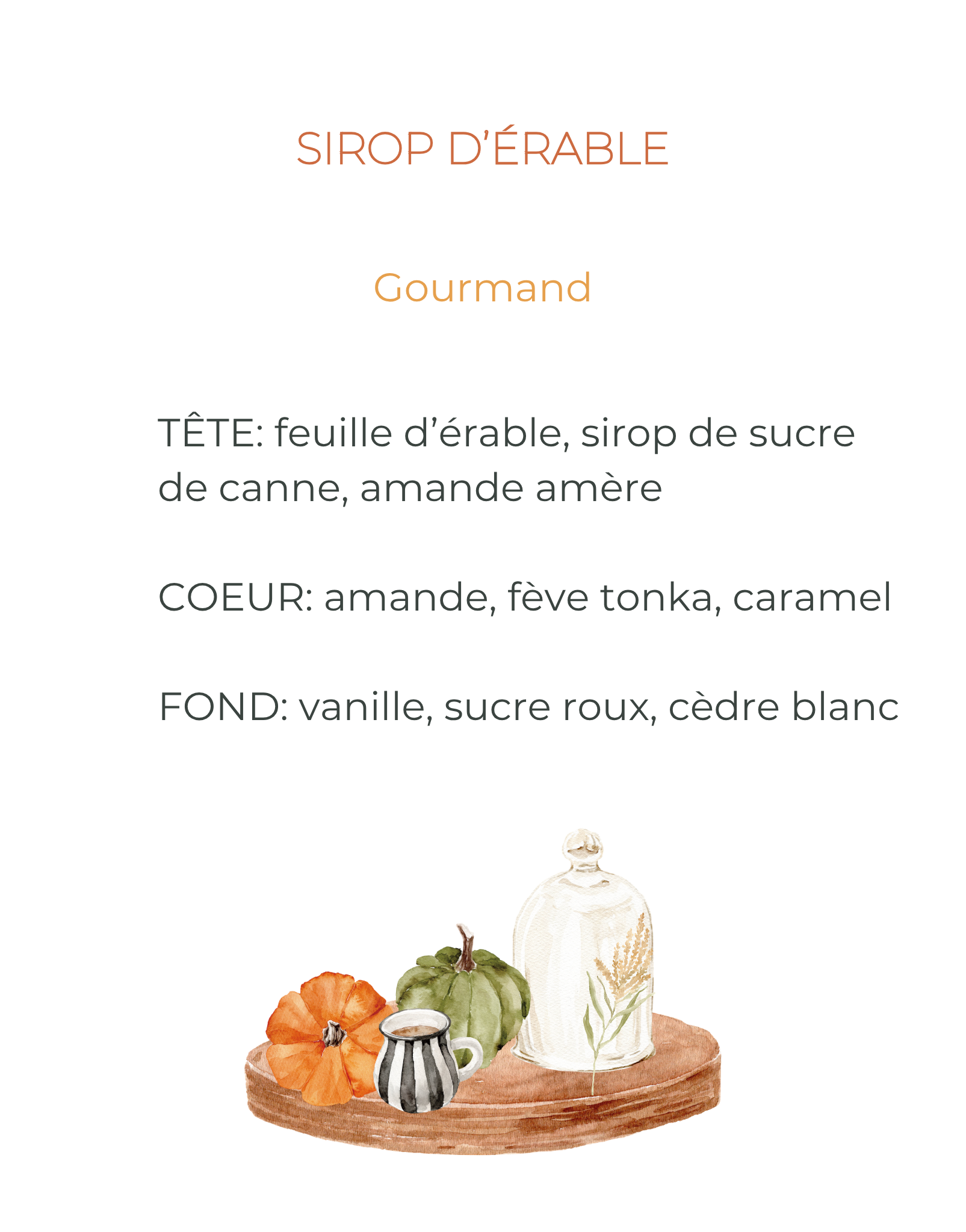 AUTOMNE Senteurs de saison à découvrir – Image 12